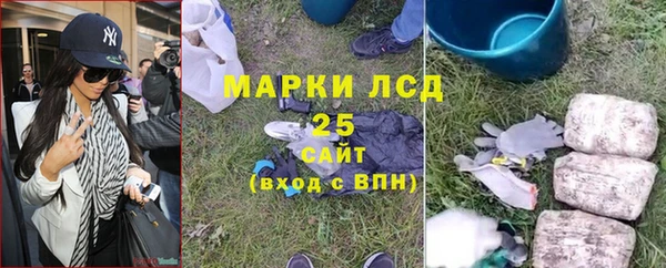 дурь Ельня