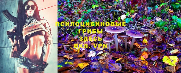 бошки Аркадак